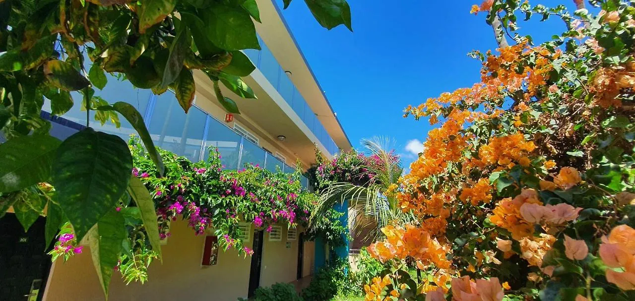 Apartamentos Don Palomón Playa del Inglés 0*,