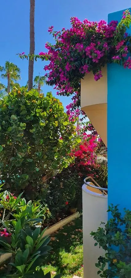 Alsol Don Palomon Apartment Playa del Ingles  Spain
