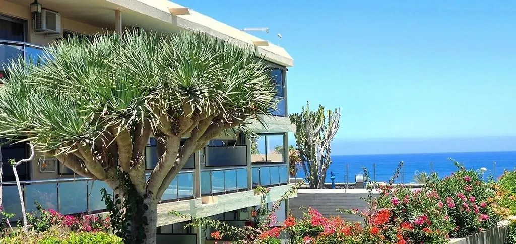 Alsol Don Palomon Apartment Playa del Ingles  0*, Playa del Ingles (Gran Canaria)
