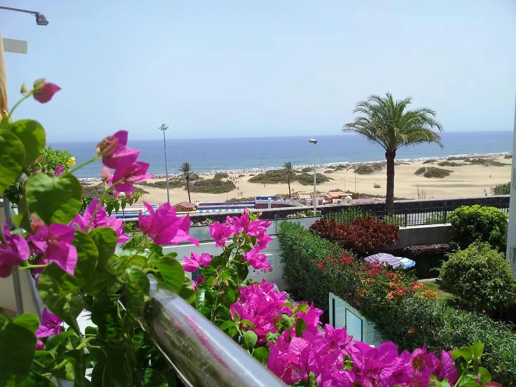 Alsol Don Palomon Apartment Playa del Ingles  Spain