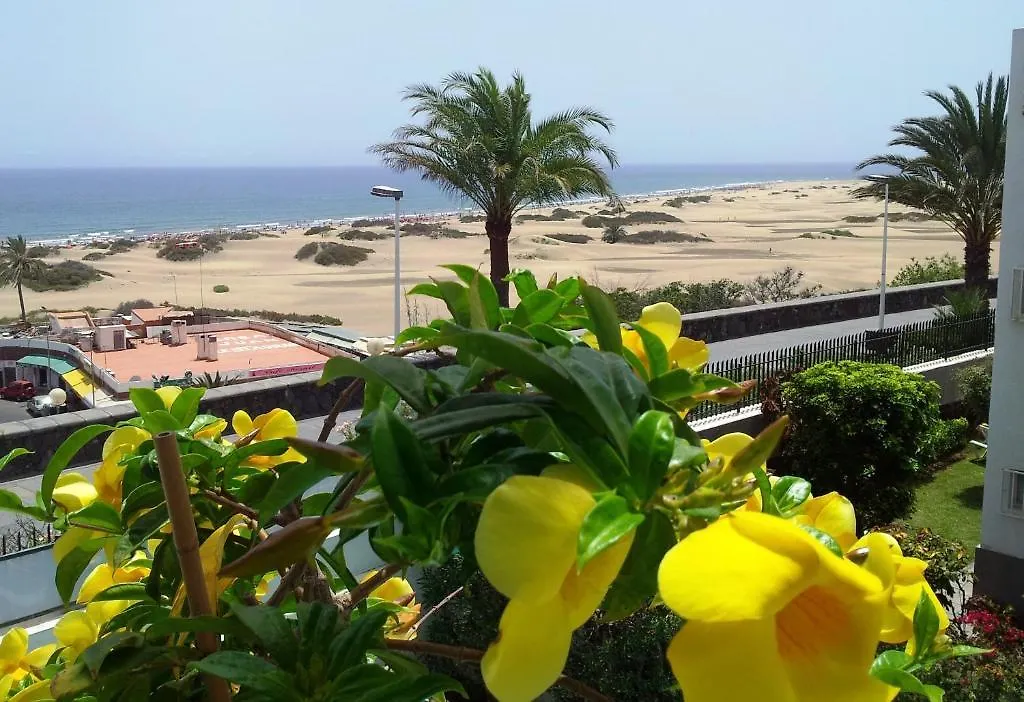 Alsol Don Palomon Apartment Playa del Ingles   Playa del Ingles (Gran Canaria)